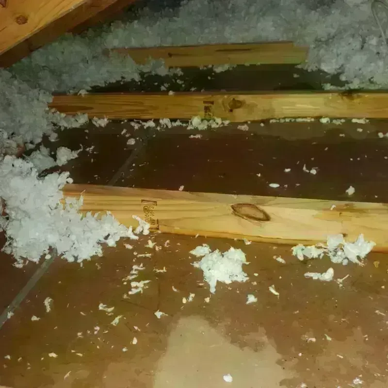 Attic Water Damage in Westwood, MA