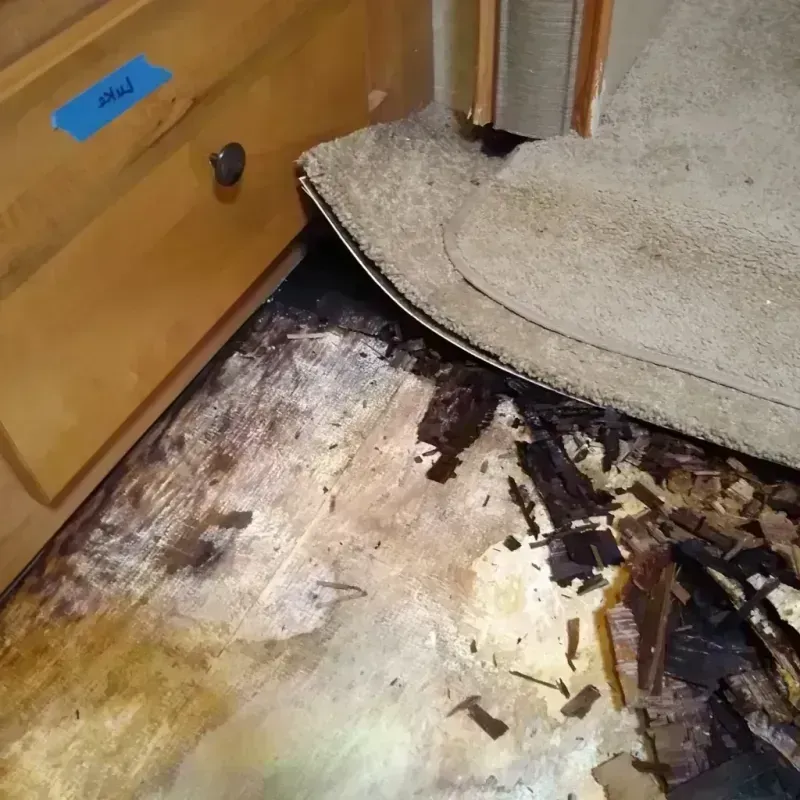 Best Wood Floor Water Damage Service in Westwood, MA